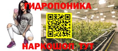 ПСИЛОЦИБИНОВЫЕ ГРИБЫ Кинель
