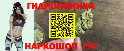 ПСИЛОЦИБИНОВЫЕ ГРИБЫ Кинель